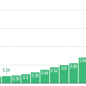 Annual dividends