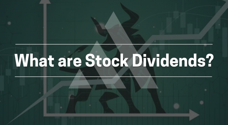 What are Stock Dividends? title card