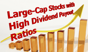 Dividend Payout Ratio