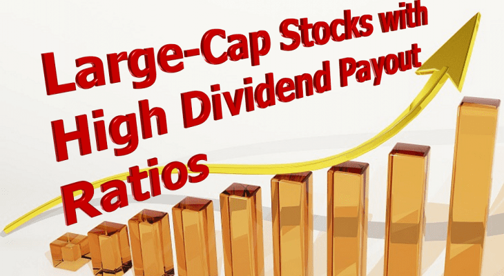 Dividend Payout Ratio