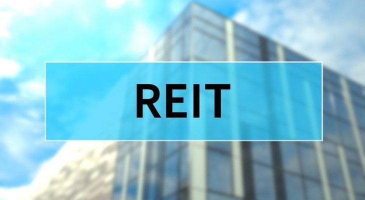 why do reits have high dividend payout ratios